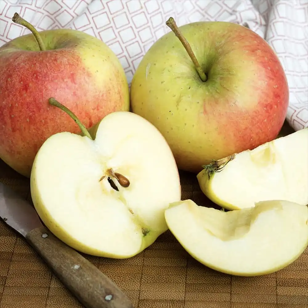Mar (Malus) Santana, cu fructe rosii dulci-acrisor, 3 pe rod