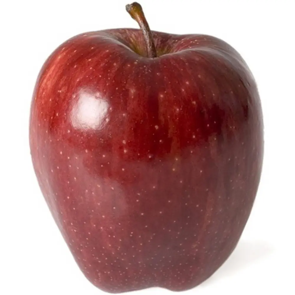 Mar (Malus) Starking, cu fructe rosii dulci-acrisor, 3 pe rod