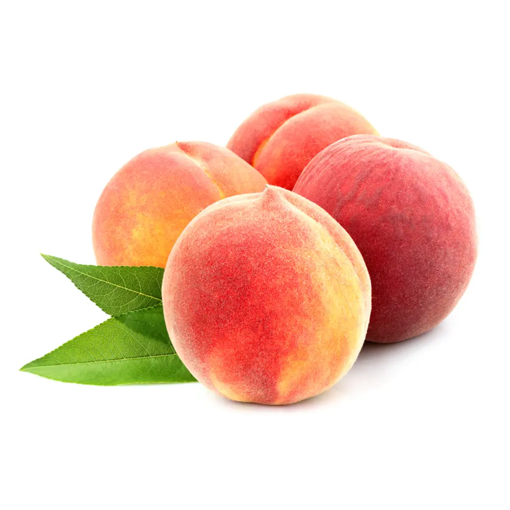 Piersic (Prunus Persica) Percocca Andross cu fructe galbene-portocalii, 2 pe rod