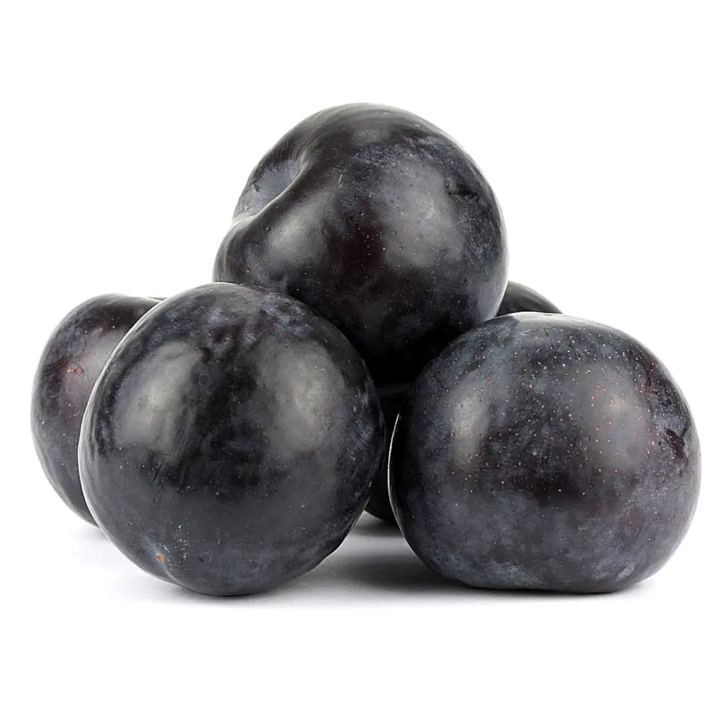 Prun Angeleno (Prunus Domestica), cu fructe dulci negre, 2 pe rod