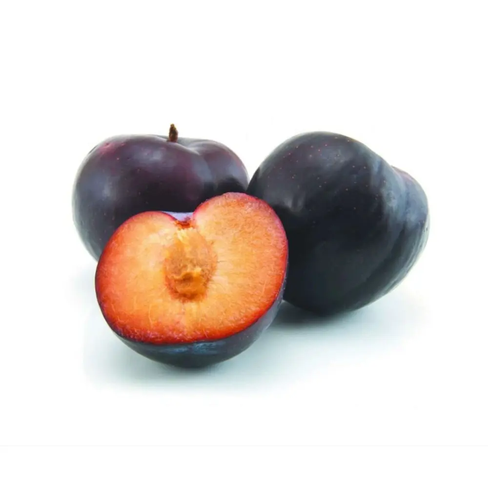 Prun Angeleno (Prunus Domestica), cu fructe dulci negre, 2 pe rod