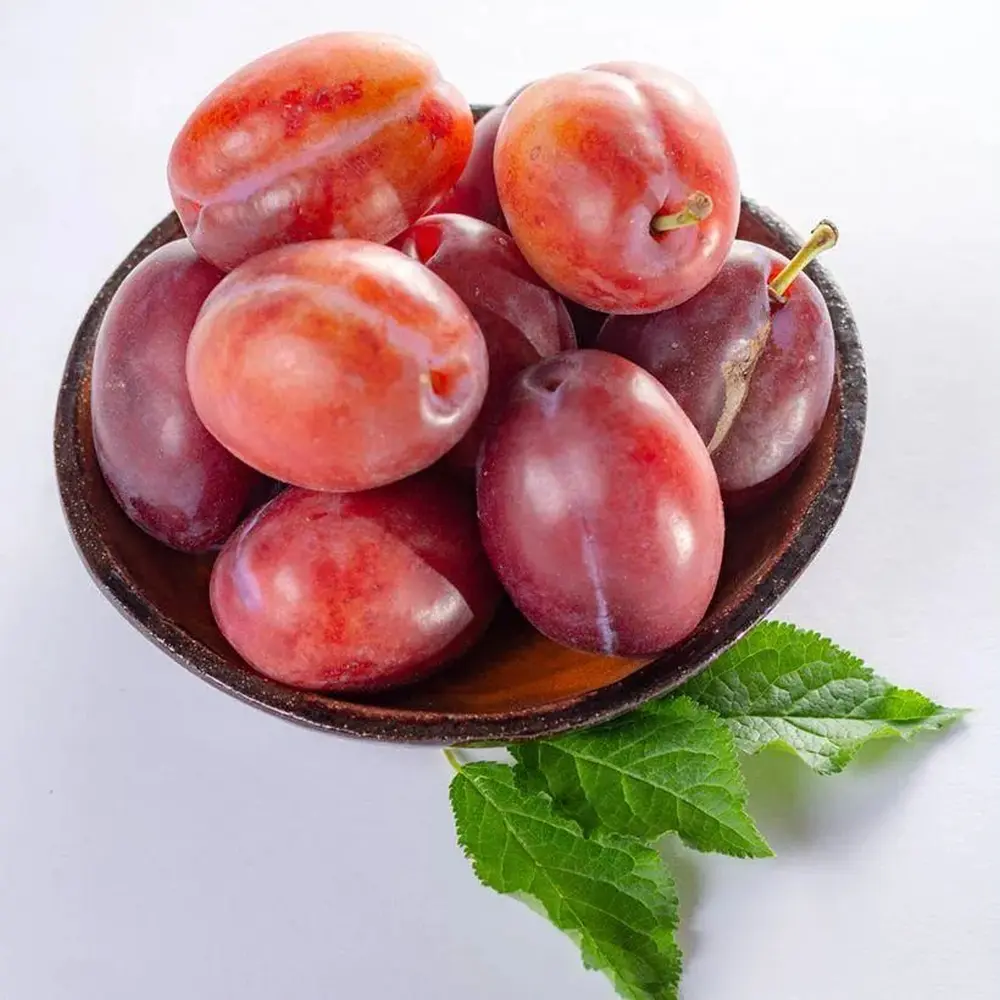 Prun Anna Spaeth (Prunus Domestica), cu fructe dulci rosii-violet, 2 pe rod