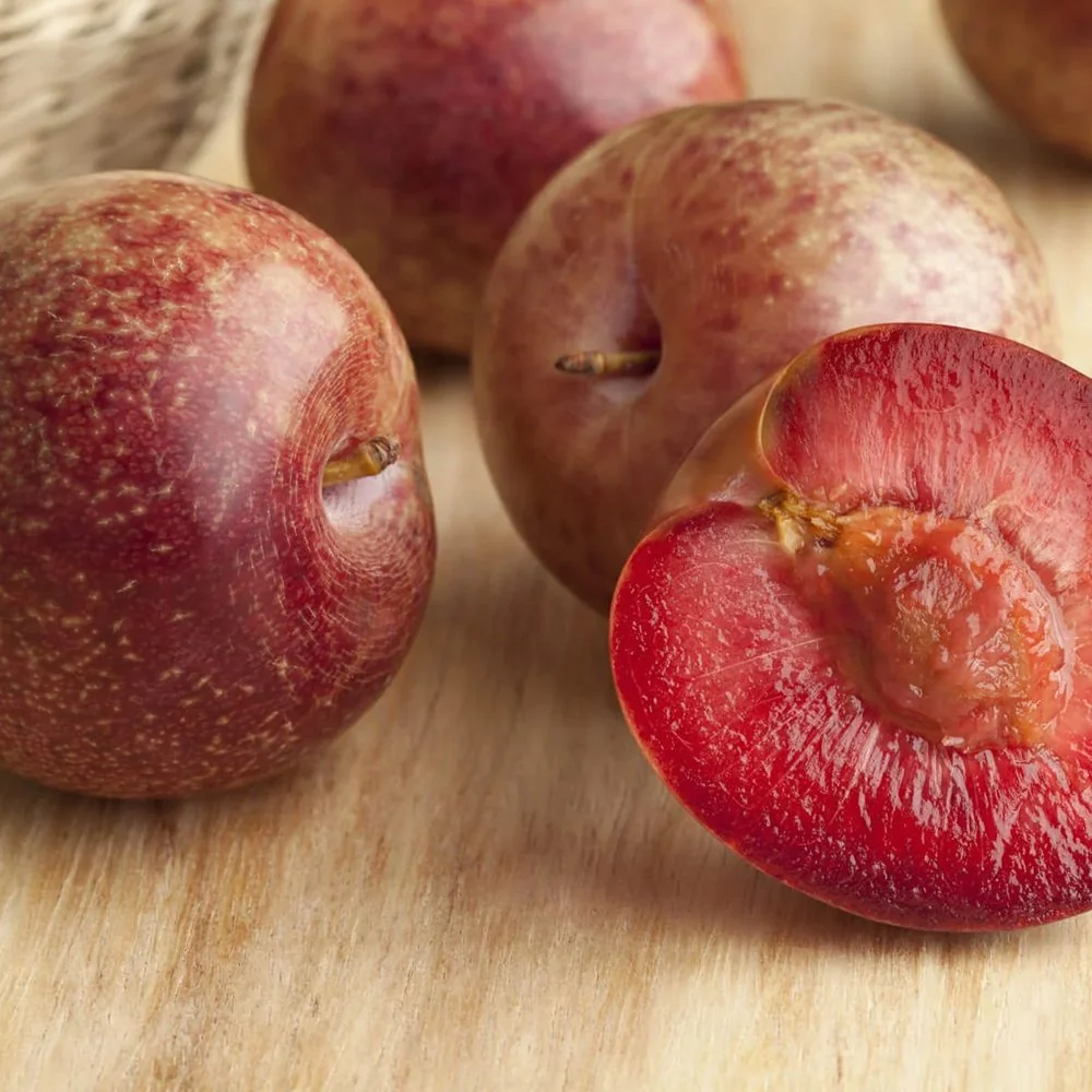 Prun Dapple Dandy (Prunus Domestica), cu fructe dulci-acrisor bicolor, 2 pe rod