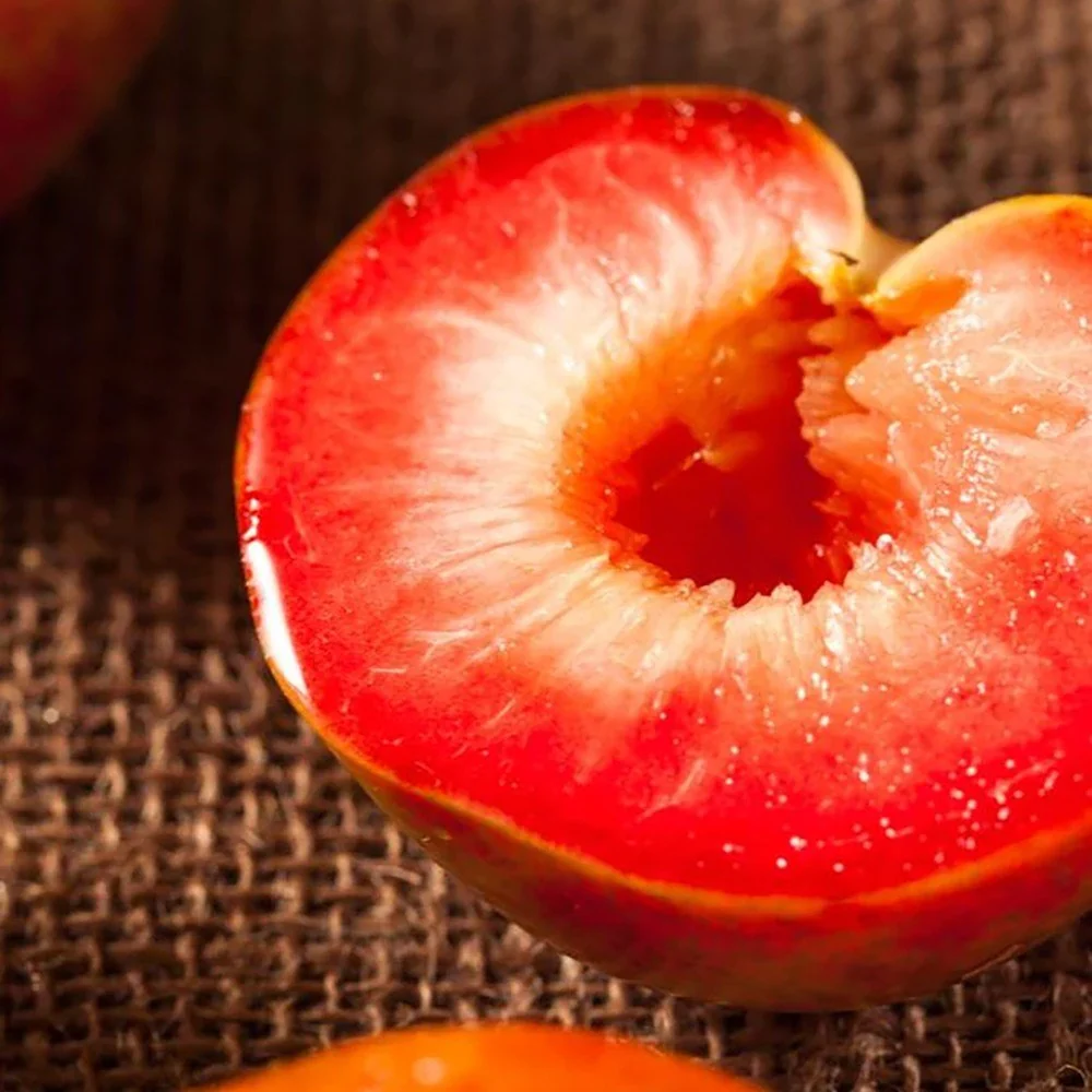 Prun Dapple Dandy (Prunus Domestica), cu fructe dulci-acrisor bicolor, 2 pe rod