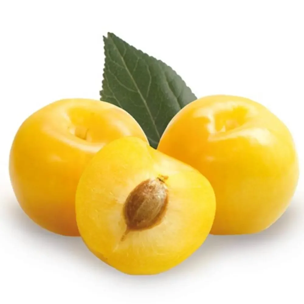 Prun Regina Claudia Gialla (Prunus Domestica), cu fructe dulci galbene, 2 pe rod