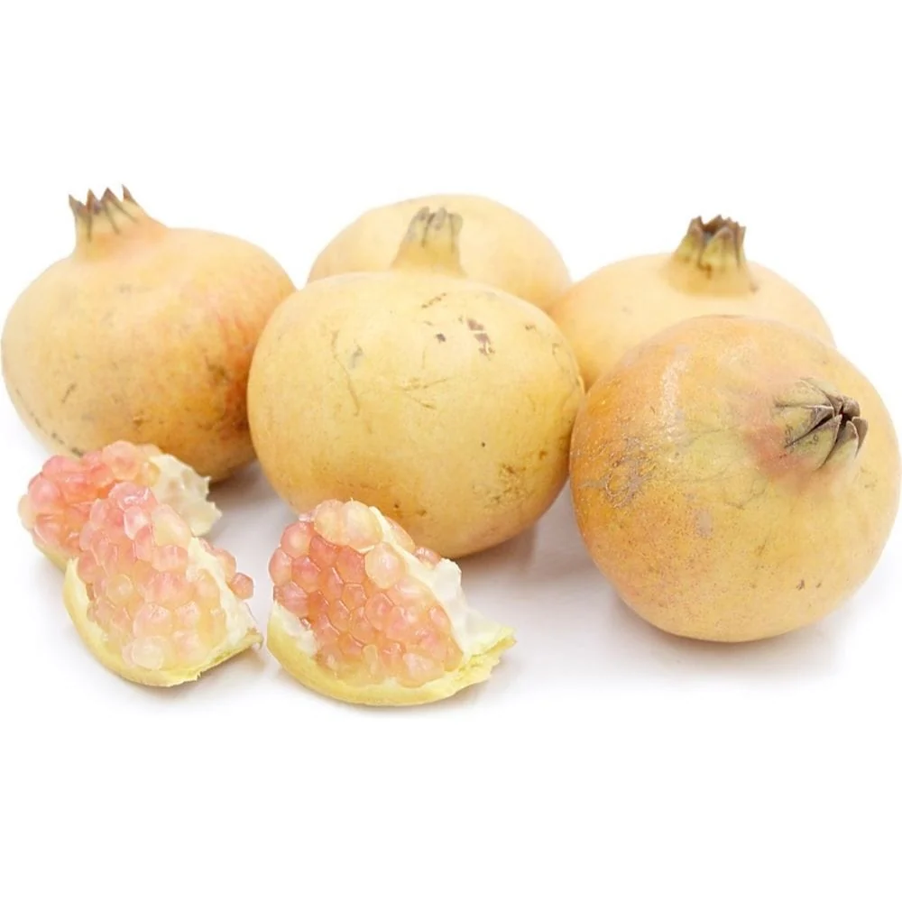 Rodiu cu fructe albe si flori duble - Punica granatum 'Haku Botan'