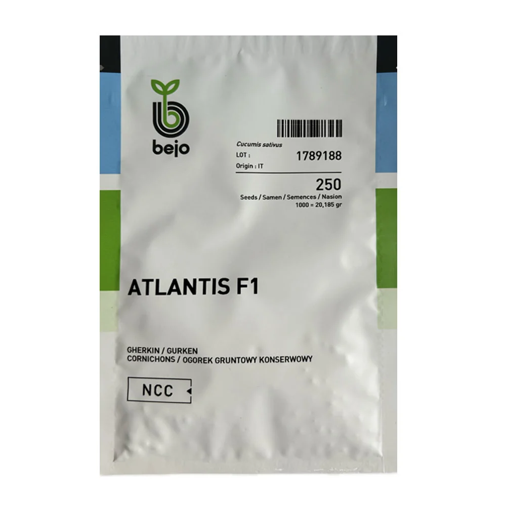 Seminte Castraveti Atlantis F1 250 sem