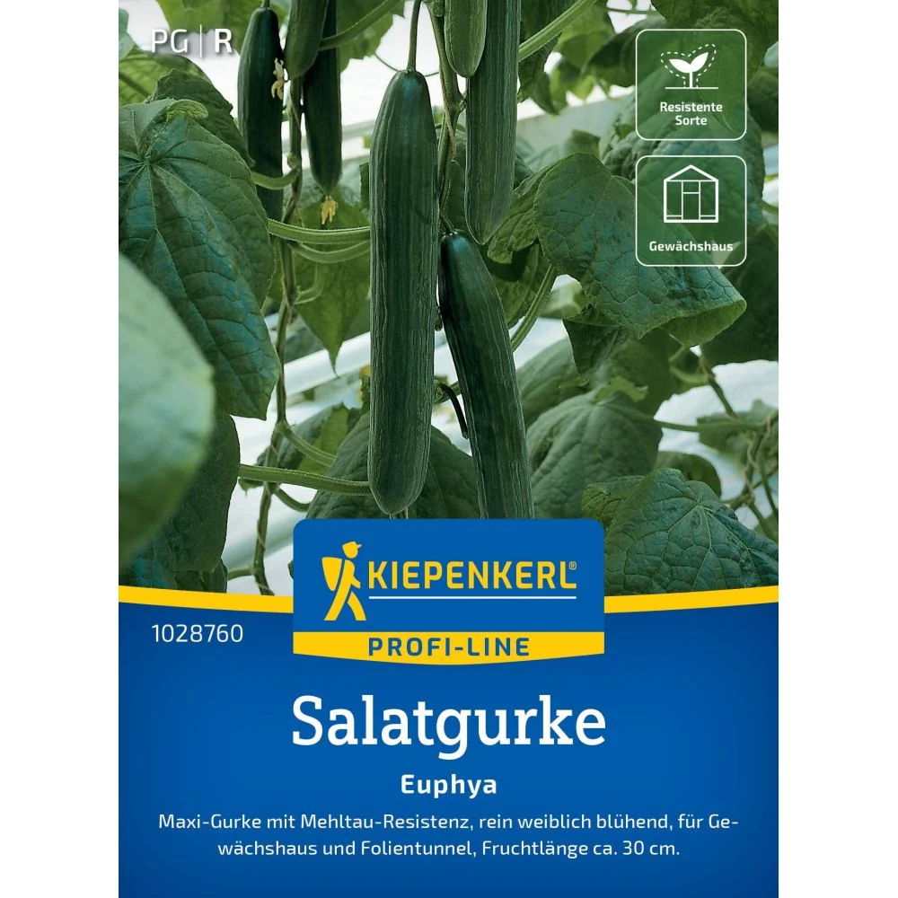 Seminte castraveti Euphya F1 – soi performant si rezistent, cu protectie germinatie