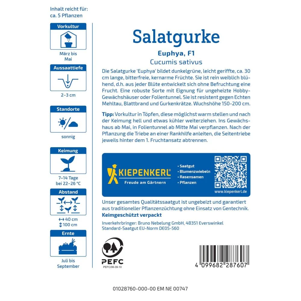 Seminte castraveti Euphya F1 – soi performant si rezistent, cu protectie germinatie