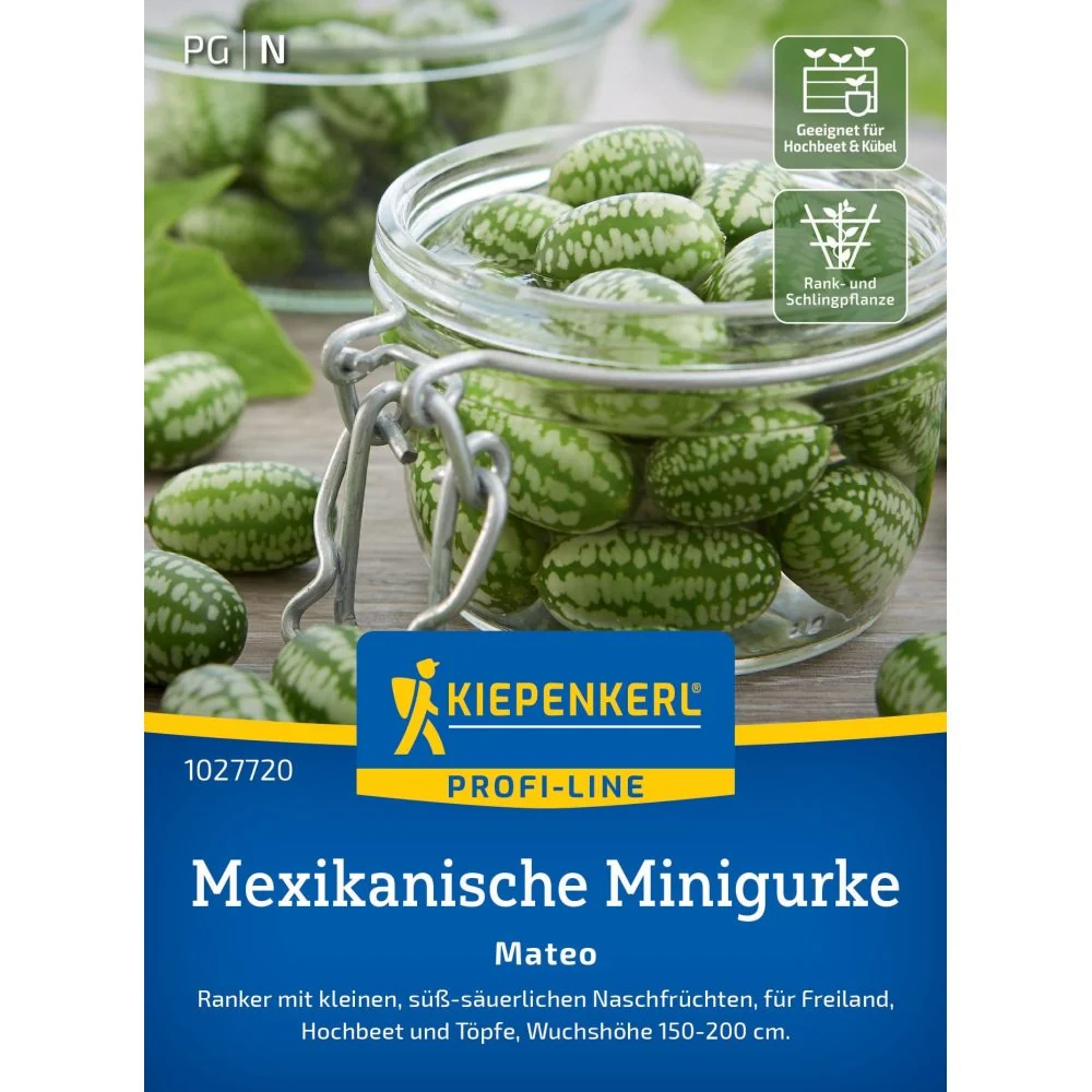Seminte castraveti mini mexicani Mateo – fructe mici si crocante, cu protectie germinatie