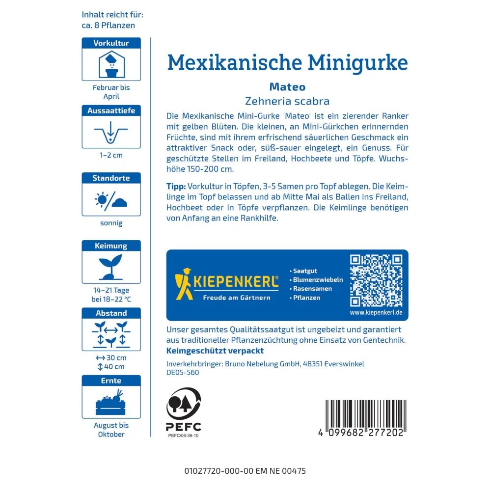 Seminte castraveti mini mexicani Mateo – fructe mici si crocante, cu protectie germinatie