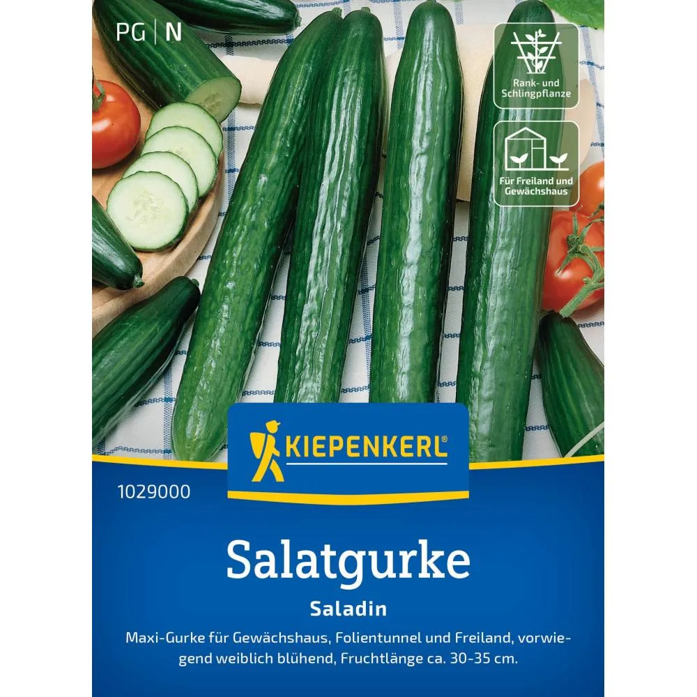 Seminte castraveti Saladin F1 – ideal pentru gradini de vara, cu protectie germinatie