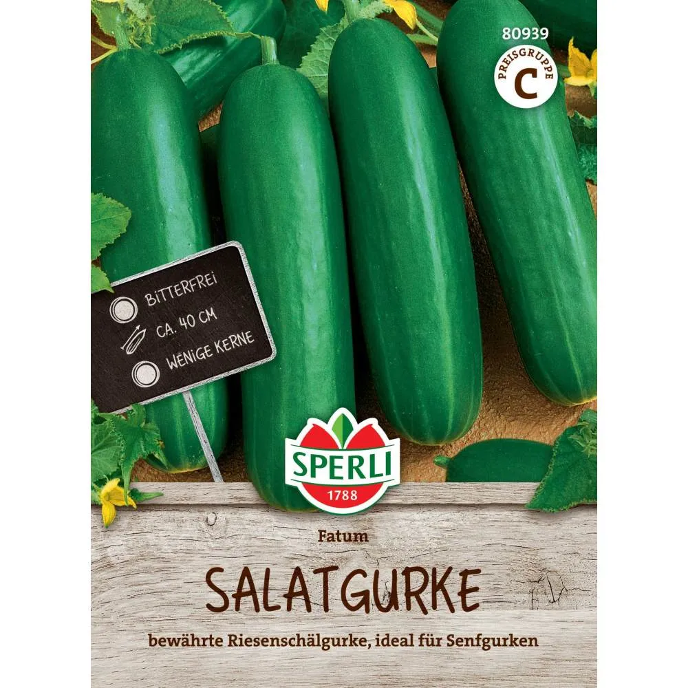 Seminte castraveti salata Fatum – crestere rapida si gust proaspat