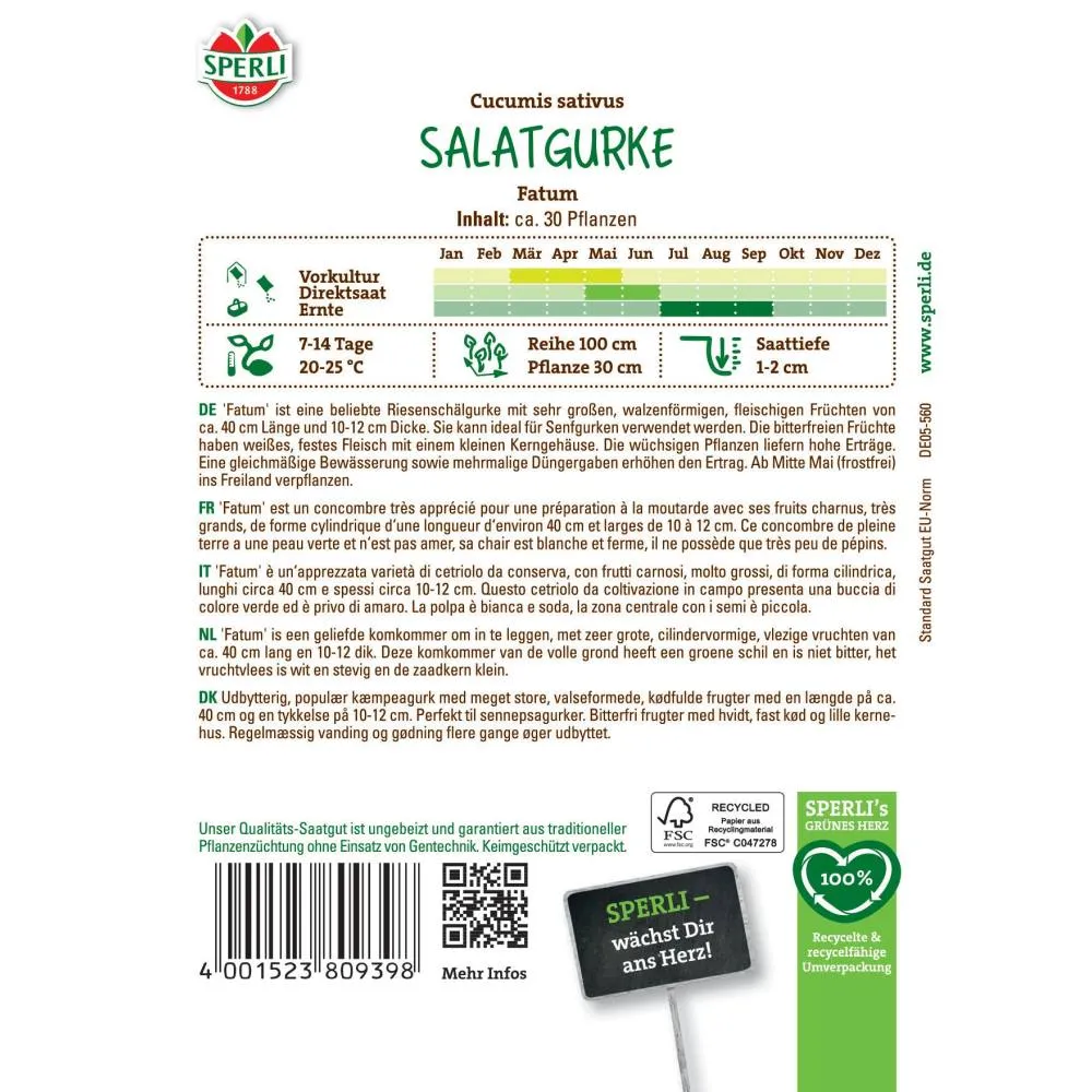 Seminte castraveti salata Fatum – crestere rapida si gust proaspat