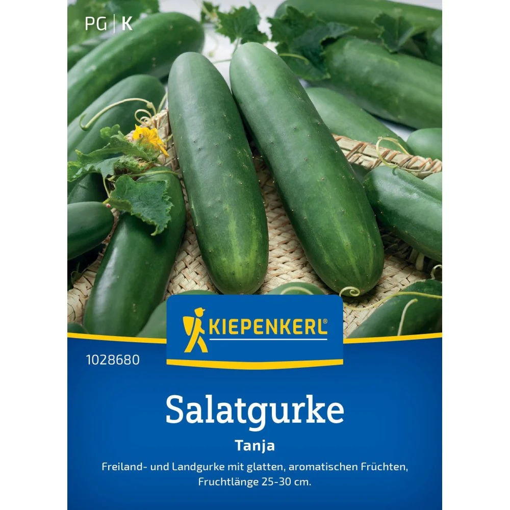 Seminte castraveti Tanja – fructe lungi si netede, cu protectie germinatie