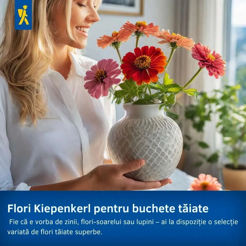 Seminte de flori Flower Dreams – amestec delicat, ajunge pentru 100 m²