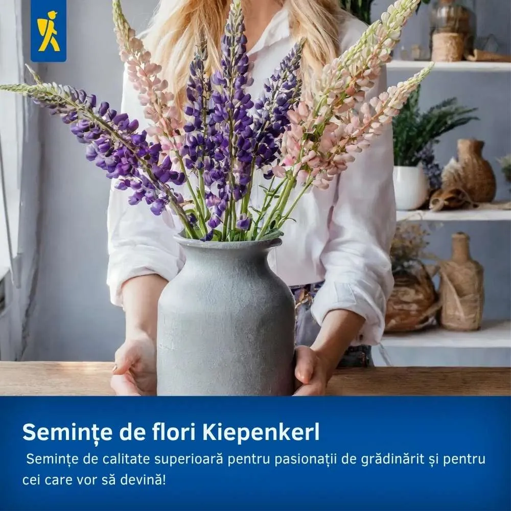 Seminte de flori Natura Salbatica – aspect natural de camp, ajunge pentru 100 m²