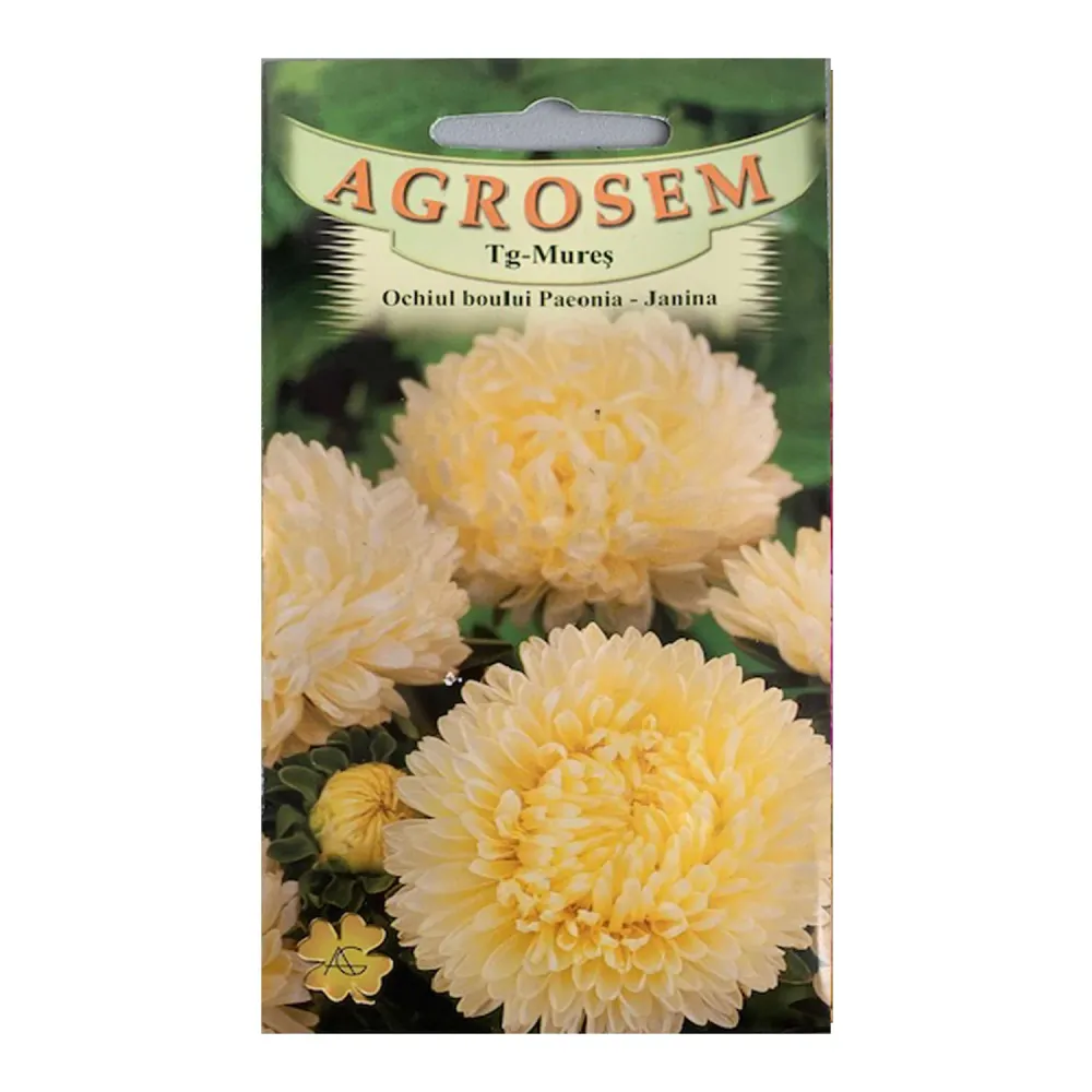 Seminte flori Ochiul Boului Paeonia Janina (Callistephus Chinensis) galben 0.4g