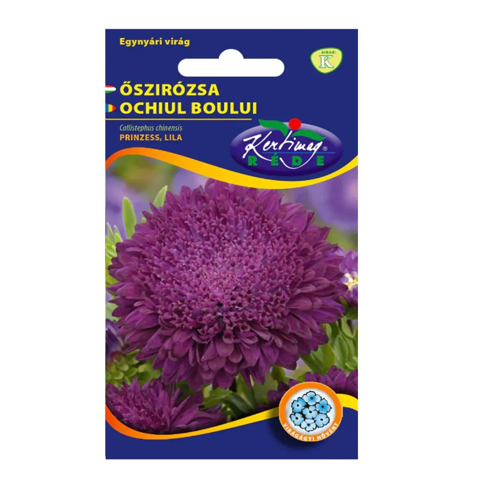 Seminte flori Ochiul Boului Princess (Callistephus Chinensis) mov 0.3g