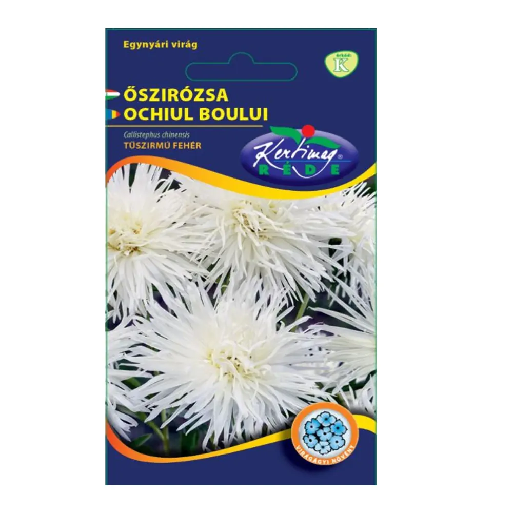 Seminte flori Ochiul Boului Strahlen (Callistephus Chinensis) alb 1g