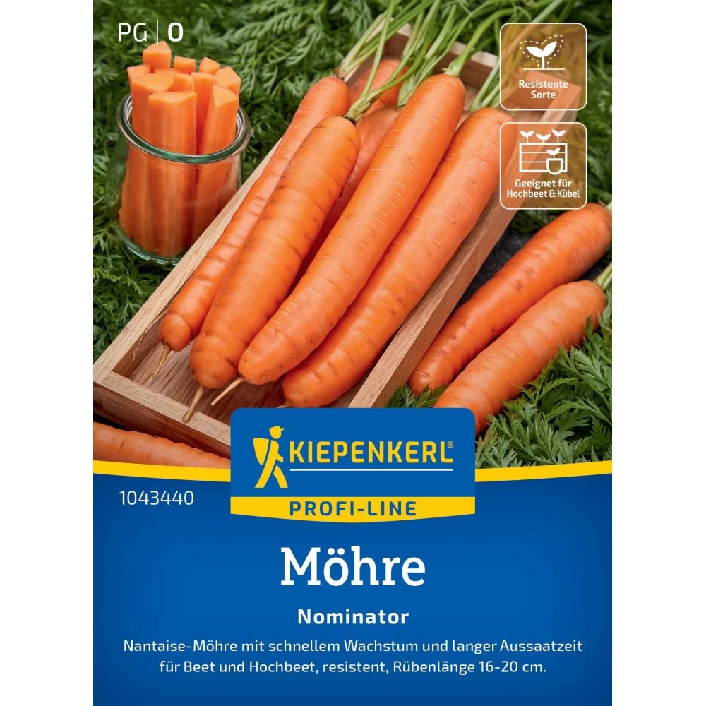 Seminte morcov Nominator F1 – soi clasic cu radacini lungi, cu protectie germinatie