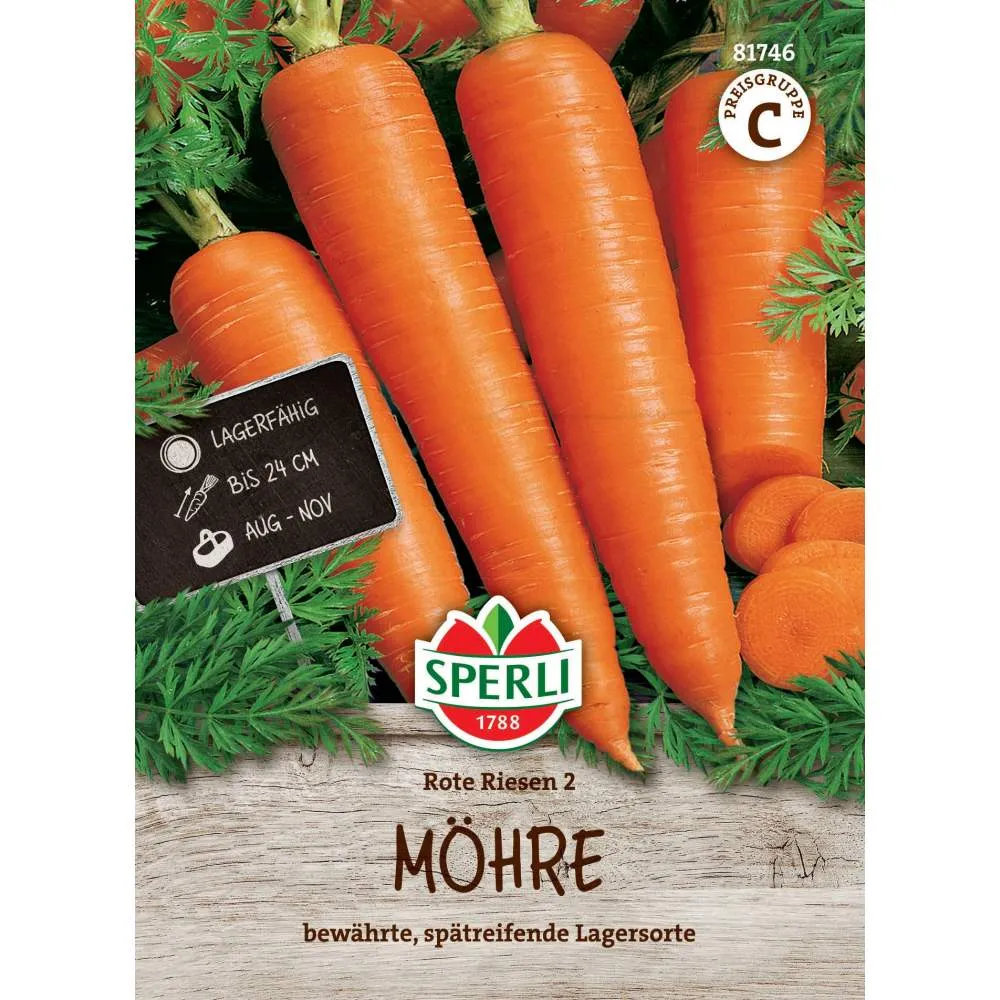 Seminte morcovi Rote Riesen 2 – radacini lungi si groase pentru pastrare