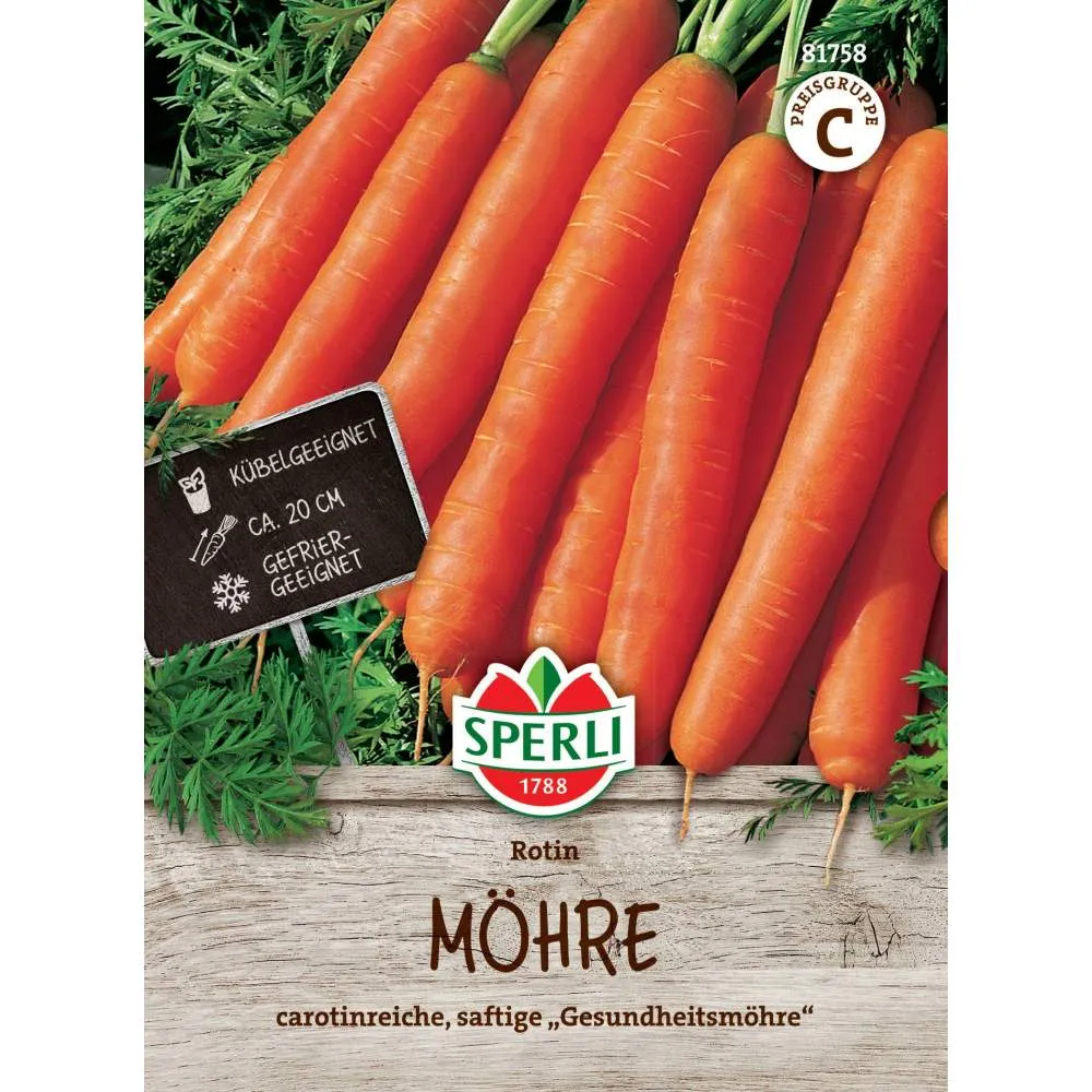 Seminte morcovi Rotin – gust bogat si textura crocanta