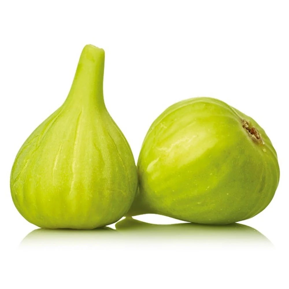Smochin - Ficus carica 'Cuello de Dama Blanca' (H100cm - pe picior)
