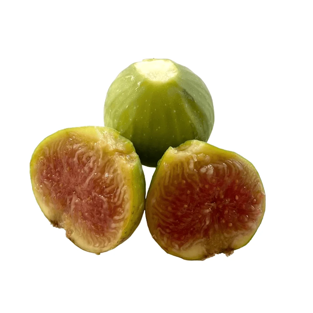 Smochin pe picior - Ficus carica ‘Fiorone’ (Fiorone Bianco) - 100 cm