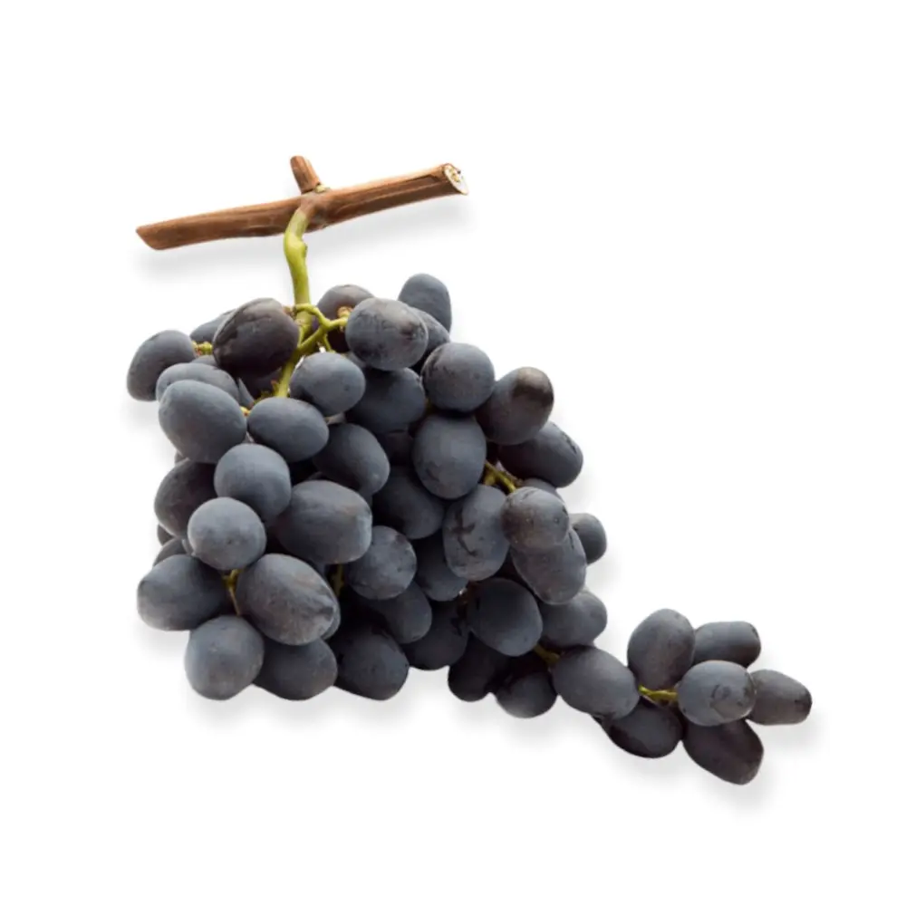 Vita de Vie (Vitis vinifera) Alphonse Lavallée, cu struguri mari negri, 2 pe rod