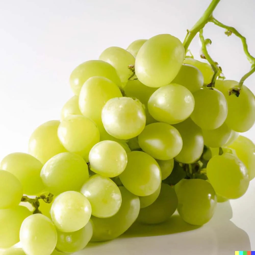 Vita de Vie (Vitis vinifera) Lakemount, cu struguri albi, dulci, 1 pe rod