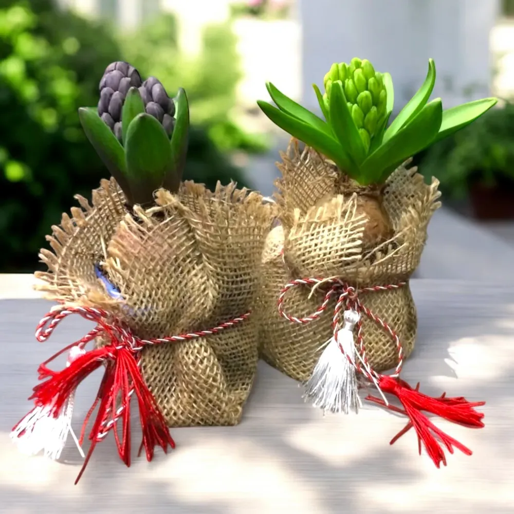 Zambila sac de iuta cu snur de martisor