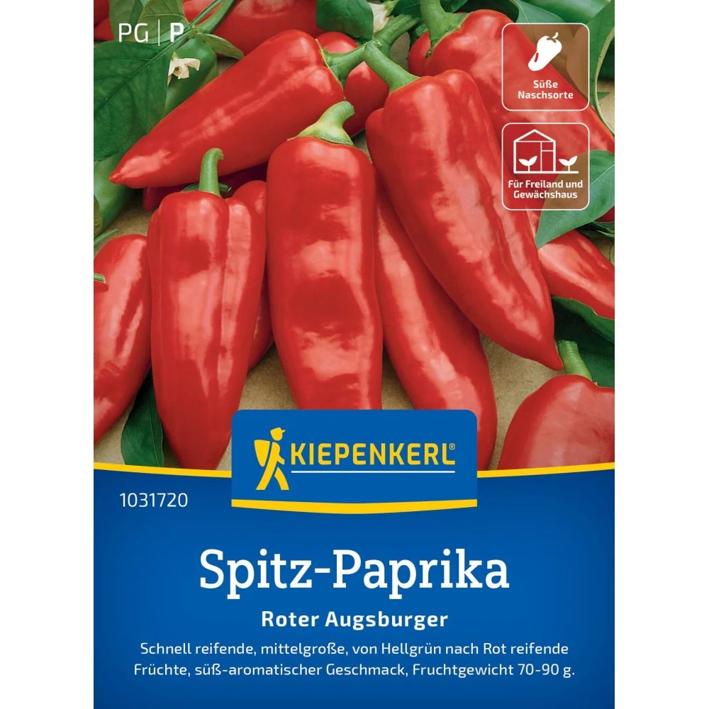 Seminte ardei capia Roter Augsburger – fructe mari si dulci, cu protectie germinatie, cu protectie germinatie