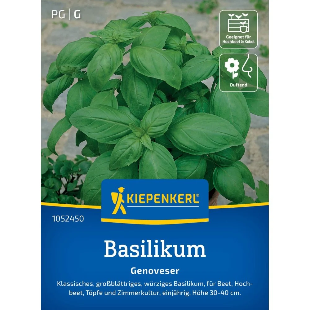 Seminte busuioc Genovez – aroma clasica pentru paste si pesto, cu protectie germinatie