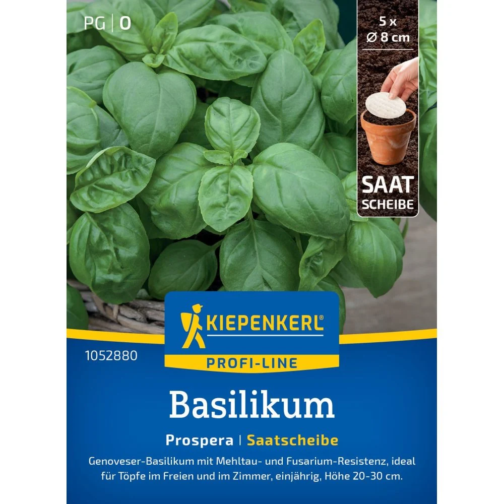 Seminte busuioc Prospera F1 – soi rezistent la fainare, cu protectie germinatie