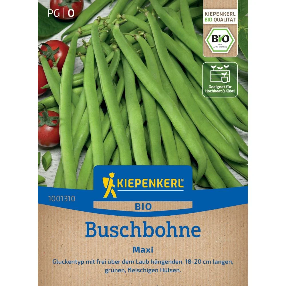 Seminte fasole pitica Maxi BIO – pastai lungi si crocante, cu protectie germinatie
