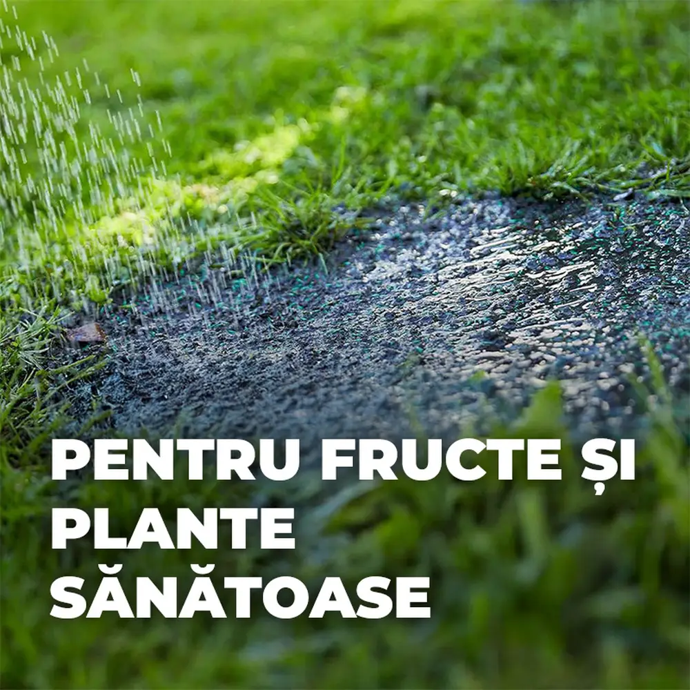 Compo Saat amestec 2in1 pentru insamantare gazon si fertilizare – 1.2 kg pentru 50 mp