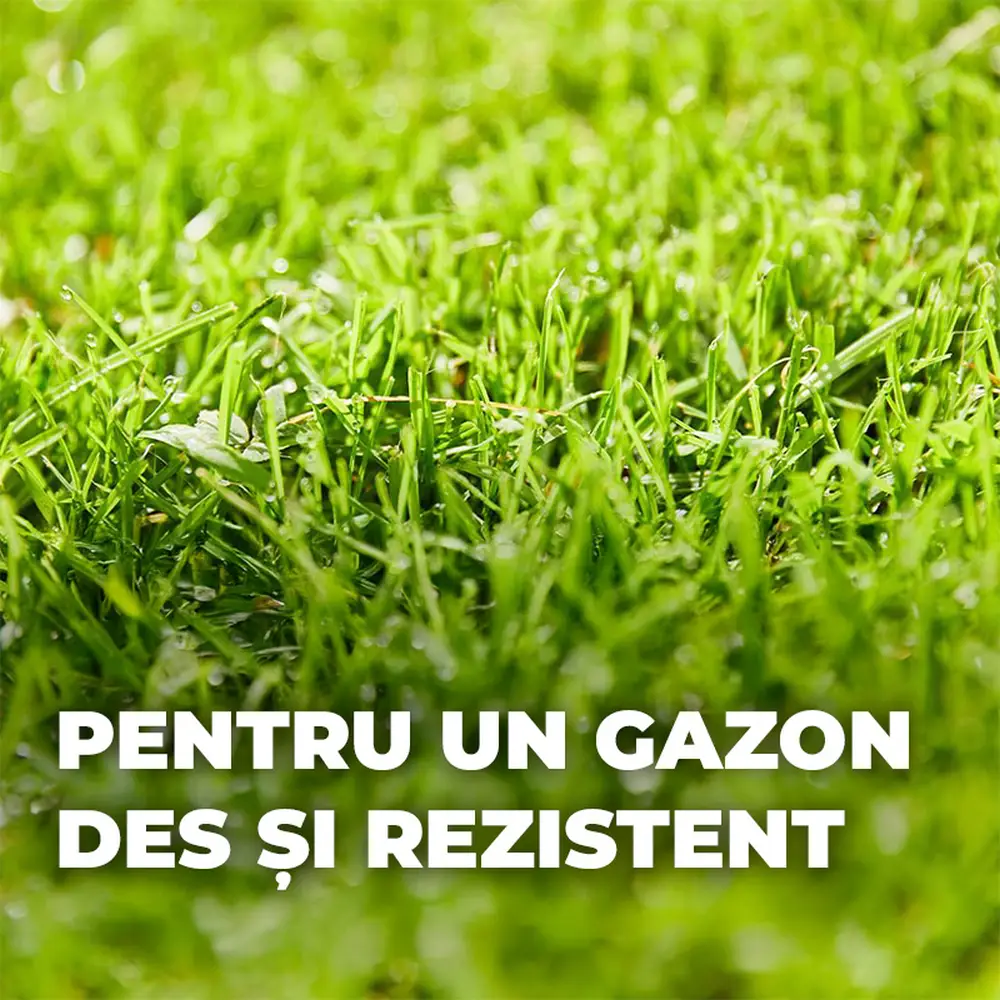 Seminte gazon Compo reparare completa mix 4 kg pentru 20 mp cu substrat si ingrasamant inclus