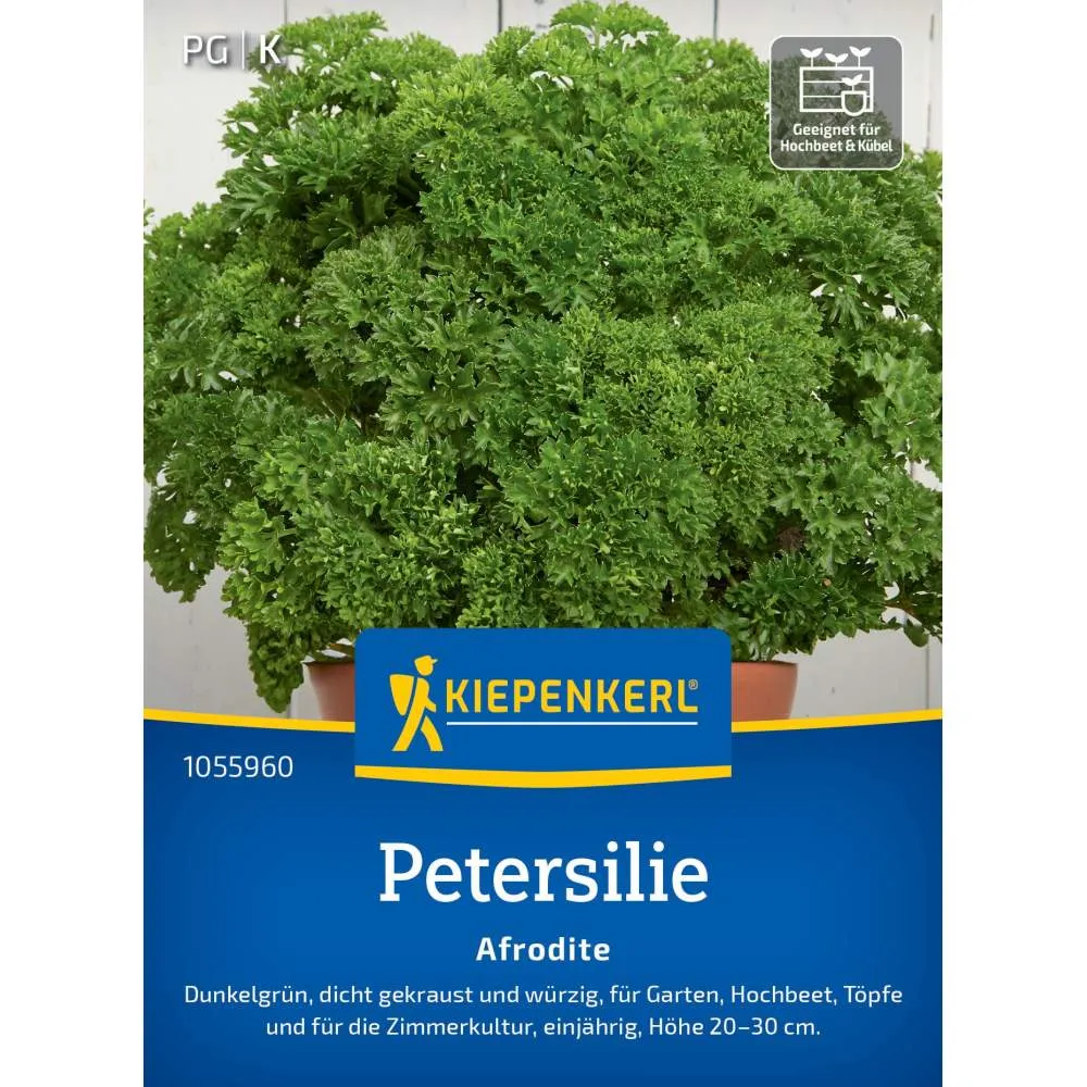 Seminte patrunjel Afrodite – frunze fine si gust intens, cu protectie germinatie