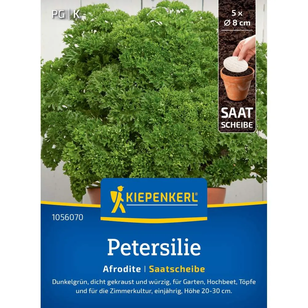 Seminte patrunjel Afrodite – ideal pentru salate si decor, cu protectie germinatie