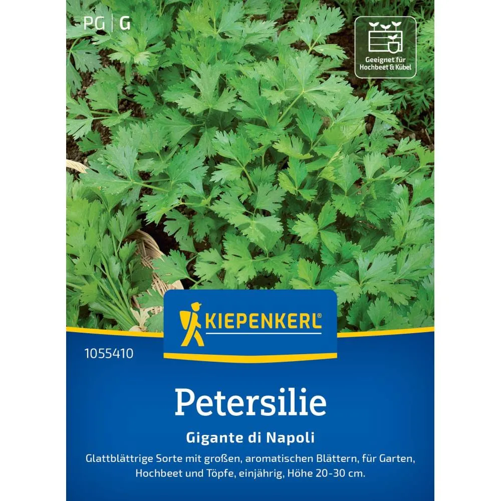 Seminte patrunjel Gigante di Napoli – frunze mari si parfumate, cu protectie germinatie