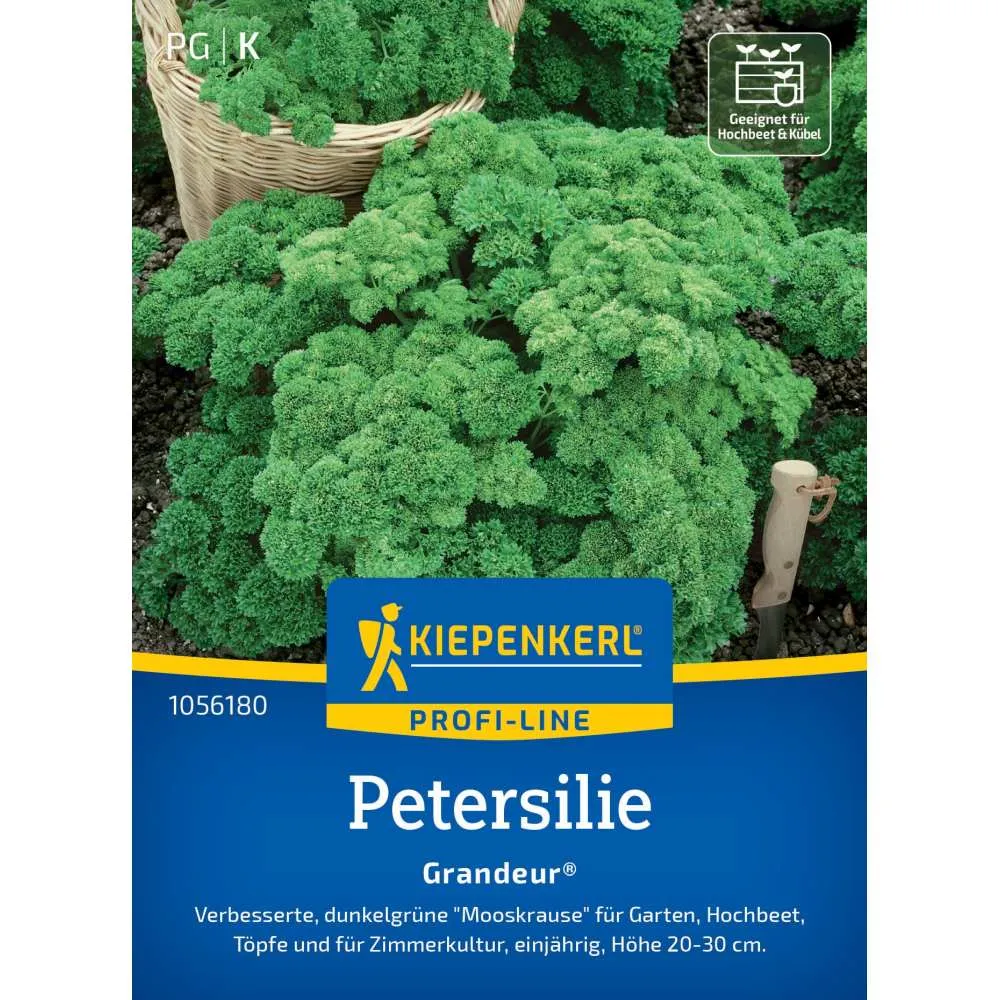 Seminte patrunjel Grandeur – soi profesional, frunze dese, cu protectie germinatie