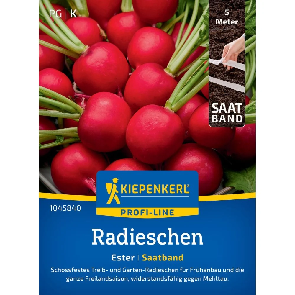 Seminte ridichi Ester F1 – crestere rapida si uniforma, cu protectie germinatie