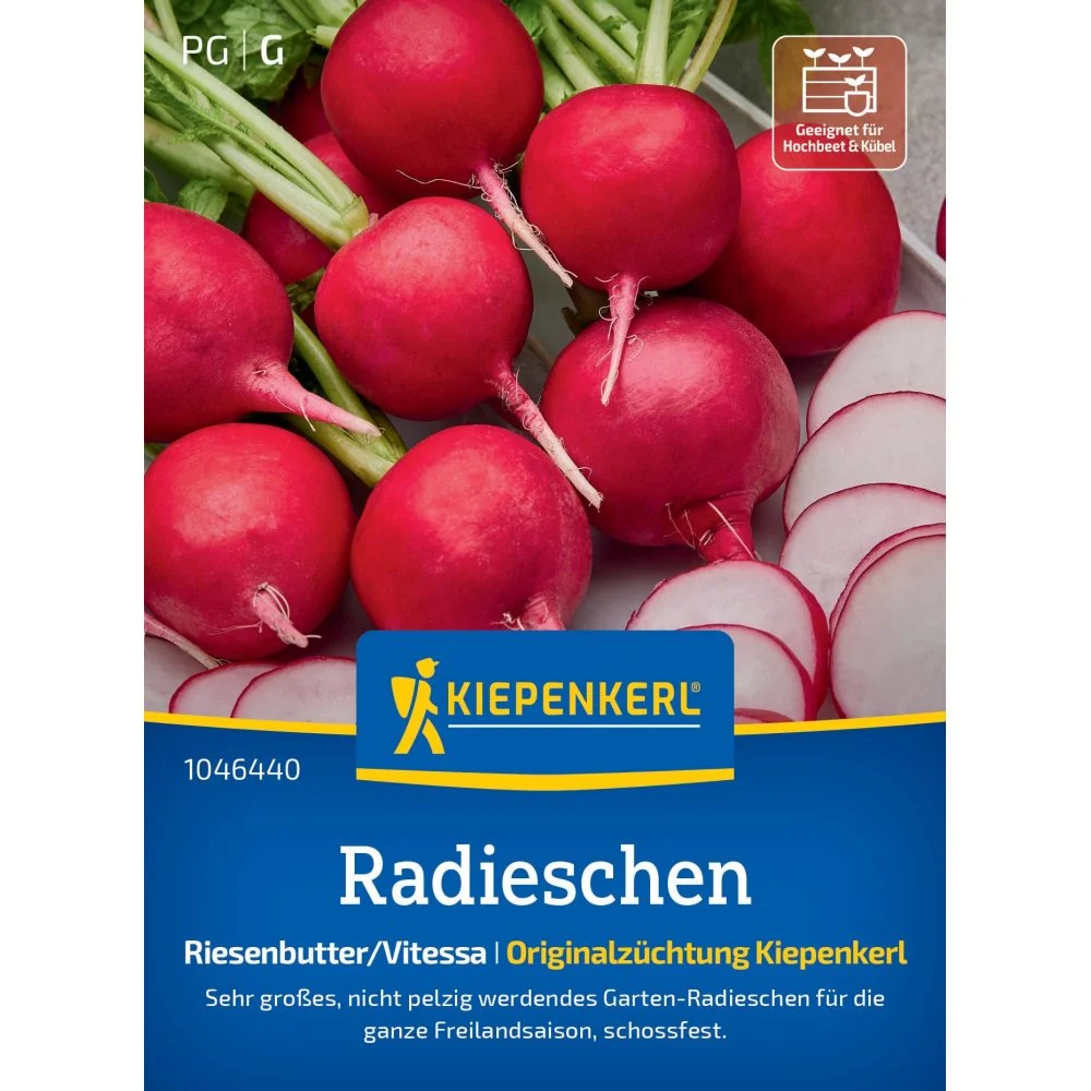 Seminte ridichi Riesenbutter Vitessa – radacini mari si suculente, cu protectie germinatie