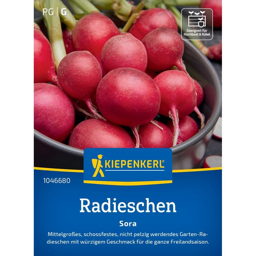Seminte ridichi Sora – varietate viguroasa si productiva, cu protectie germinatie