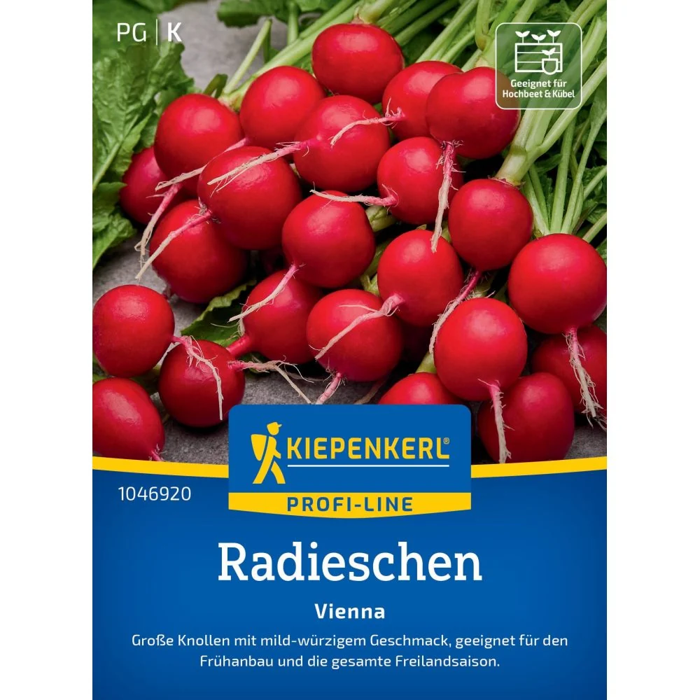 Seminte ridichi Vienna F1 – textura fina si culoare atractiva, cu protectie germinatie