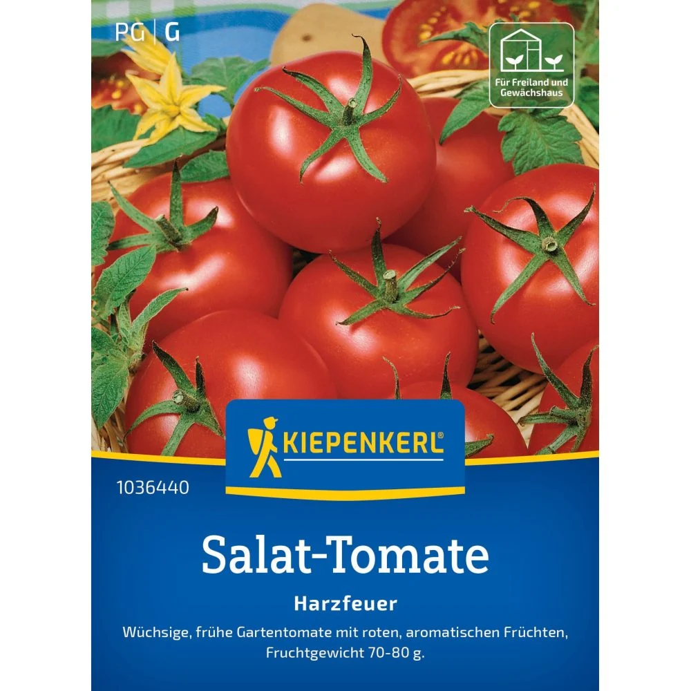 Seminte rosii salata Harzfeuer F1 – soi productiv si aromat, cu protectie germinatie