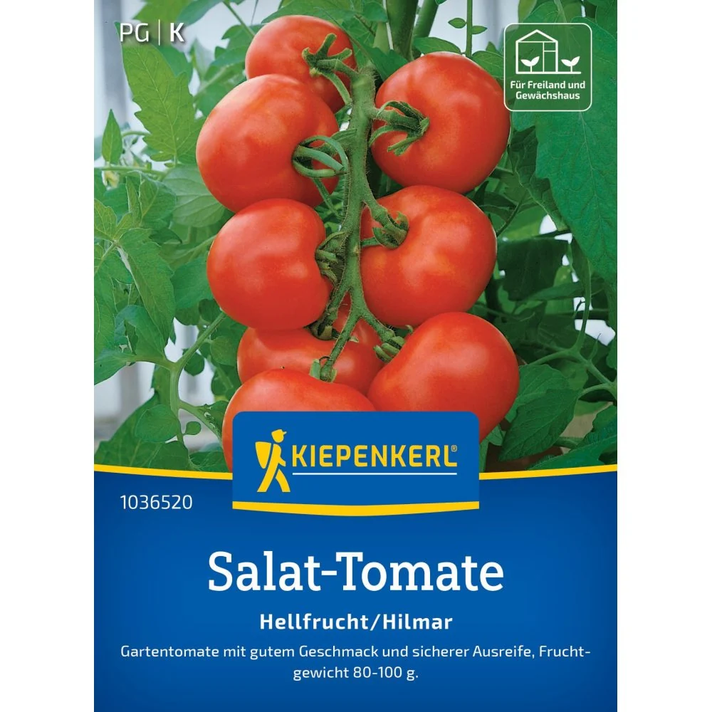 Seminte rosii salata Hellfrucht / Hilmar – fructe uniforme si ferme, cu protectie germinatie