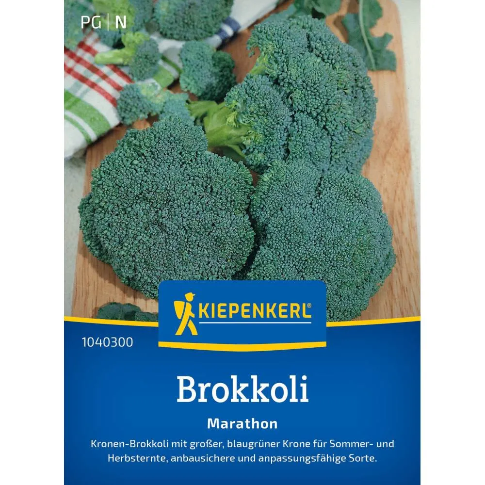 Seminte broccoli Marathon F1 – capatani dense si bogate nutrienti, cu protectie germinatie