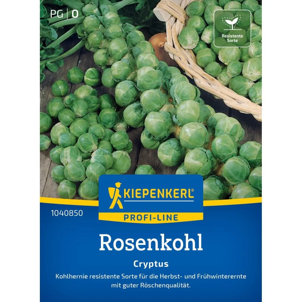 Seminte varza de Bruxelles Cryptus F1 – capatani compacte si gustoase, cu protectie germinatie